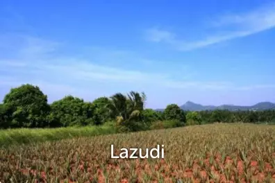 Land In Wang Pong