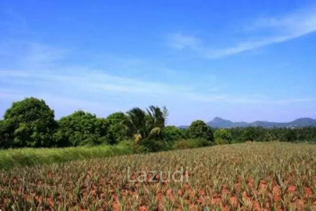 Land In Wang Pong