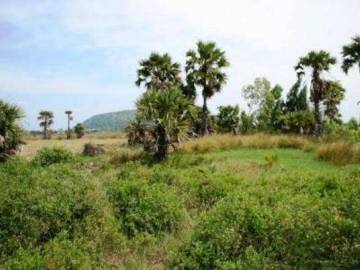 Land In Sam Roi Yod 1.5 Rai 2 Plots Available