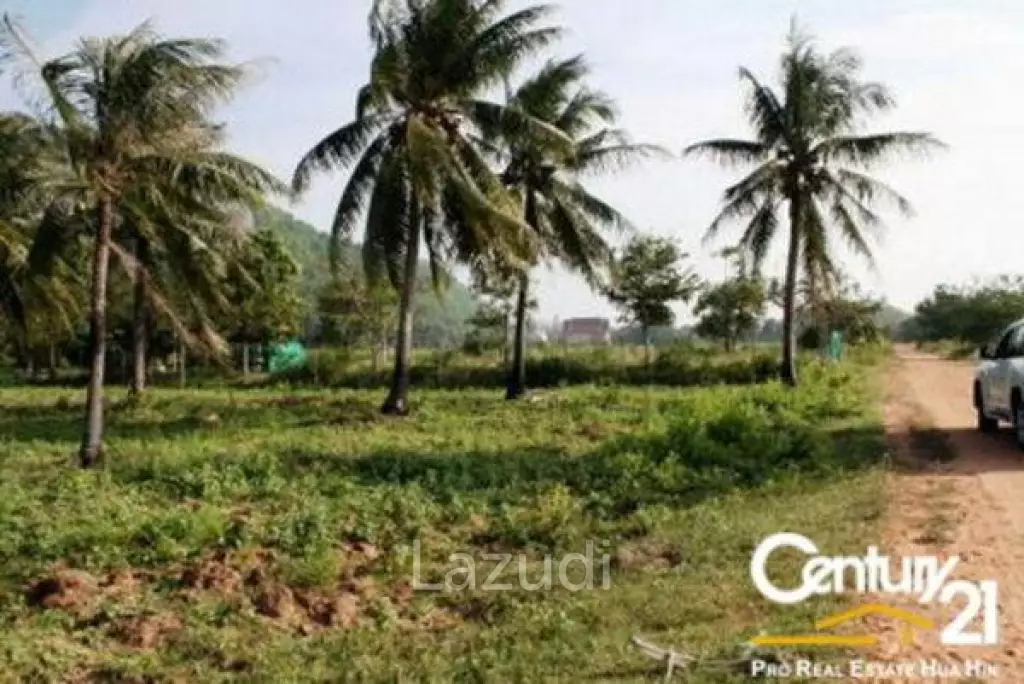 Land For Sale Khao Kalok