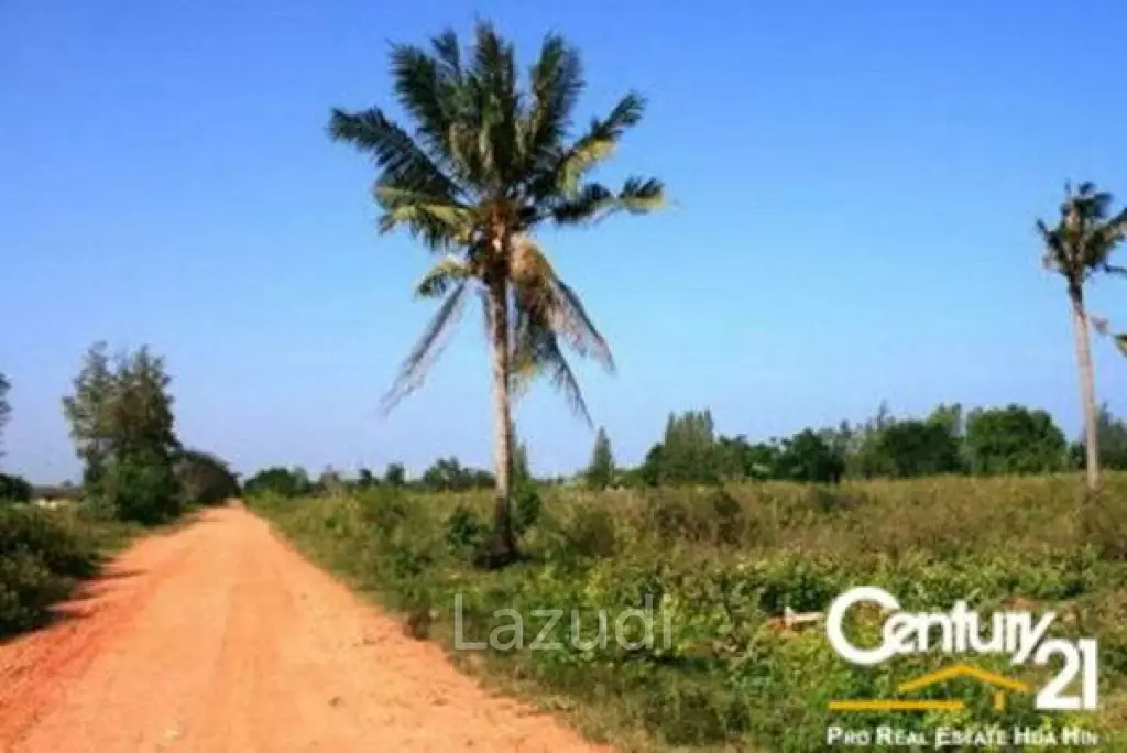 Land For Sale Khao Kalok
