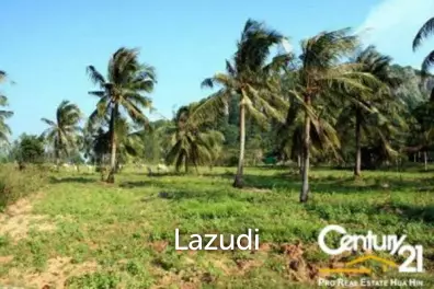 Land For Sale Khao Kalok