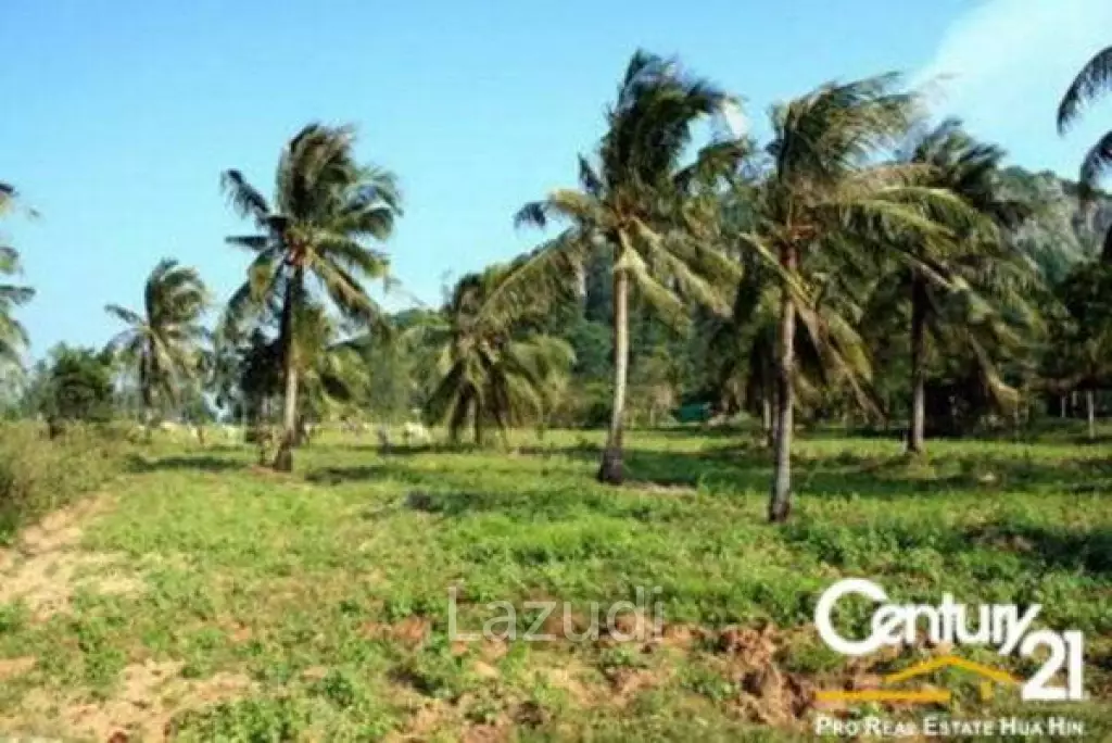 Land For Sale Khao Kalok