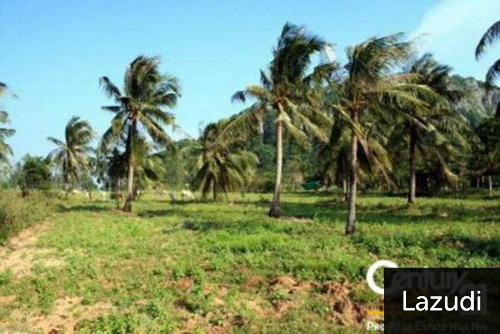 Land For Sale Khao Kalok Land For Sale Khao Kalok