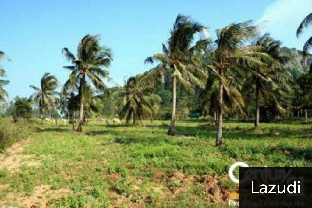 Land For Sale Khao Kalok