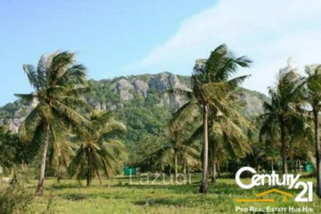 Land For Sale Khao Kalok