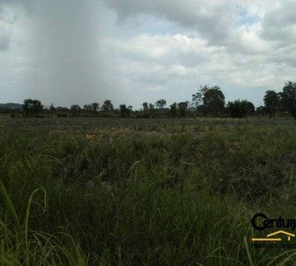 6 Rai of Land for Sale 6 Rai of Land for Sale