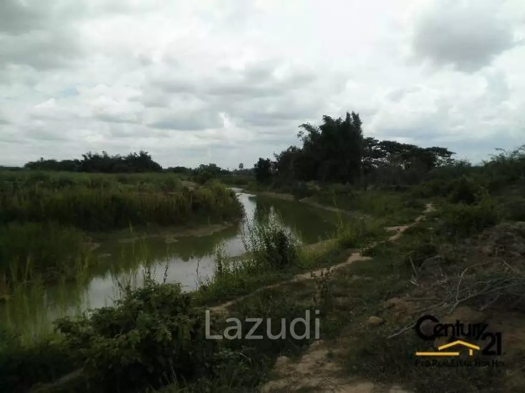 50 Rai of Land for Sale