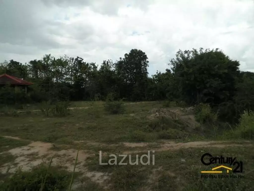 50 Rai of Land for Sale