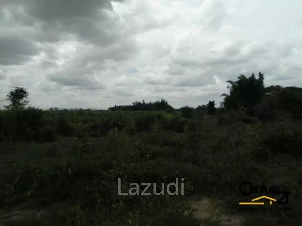 50 Rai of Land for Sale