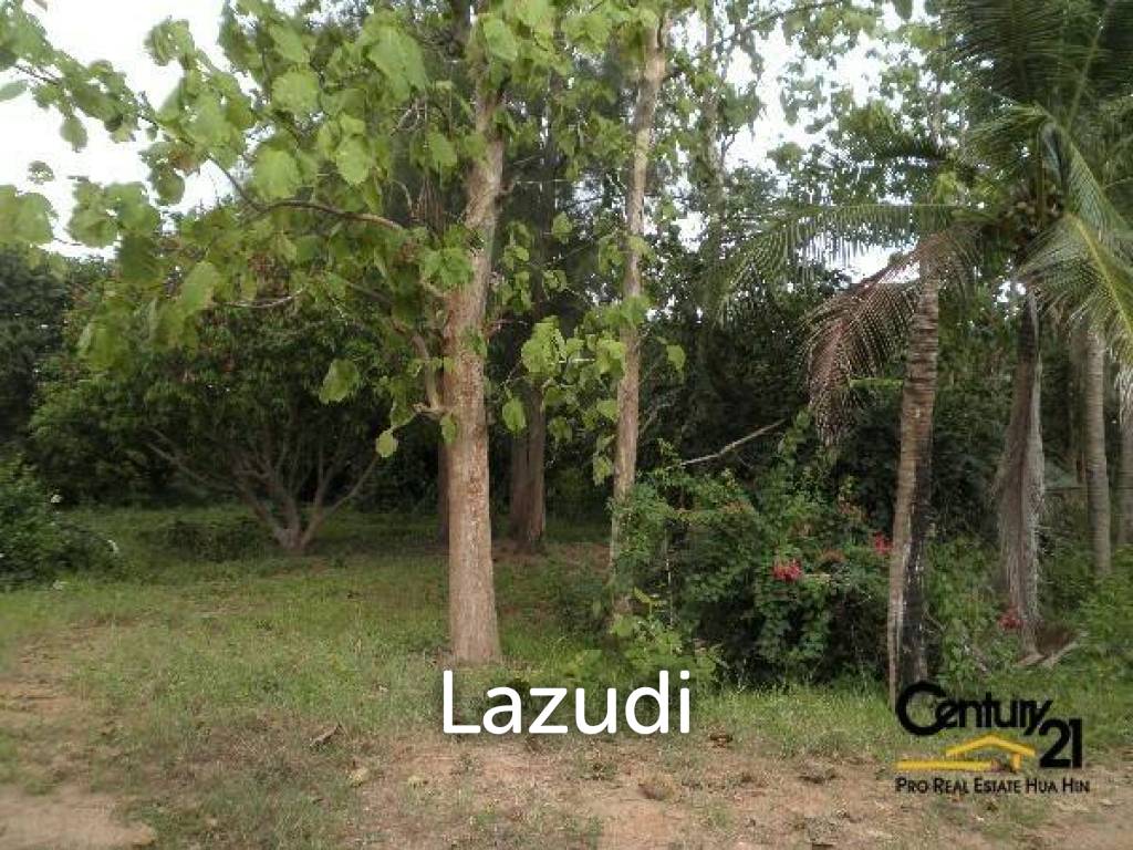 50 Rai of Land for Sale