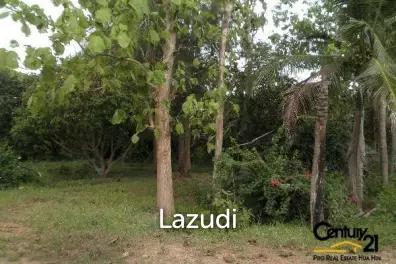 50 Rai of Land for Sale