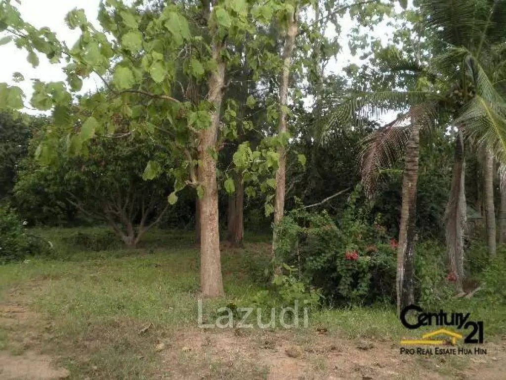 50 Rai of Land for Sale