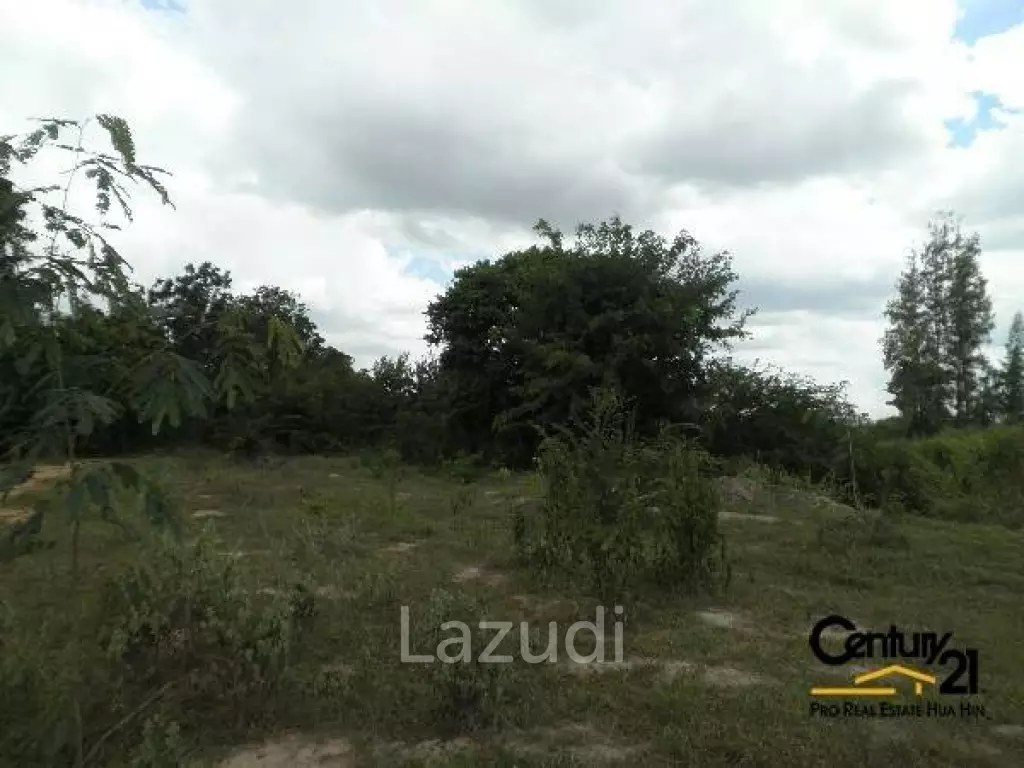 50 Rai of Land for Sale