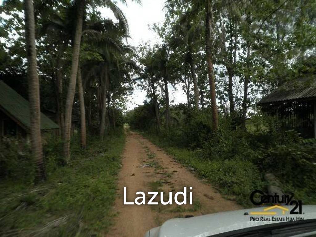 50 Rai of Land for Sale