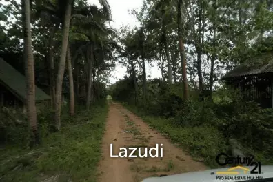 50 Rai of Land for Sale