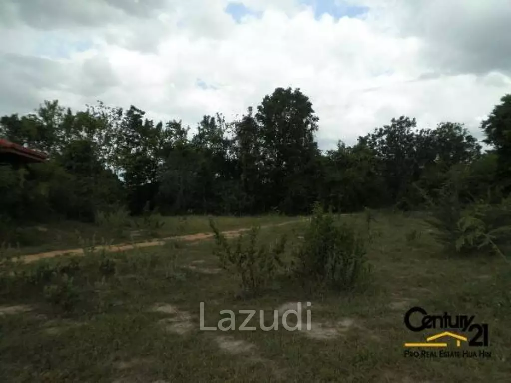 50 Rai of Land for Sale