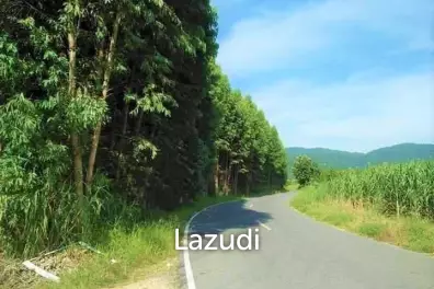 ขายที่ดินแปลงสวย 16 ไร่ ถนนข้าวหลาม บางแสน