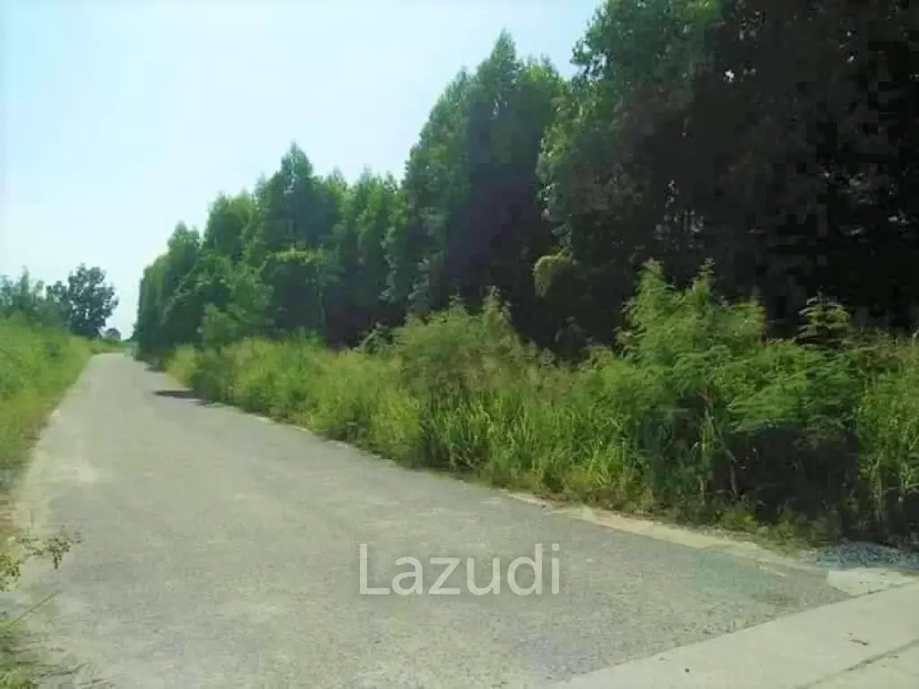Land For sale In Bangsean