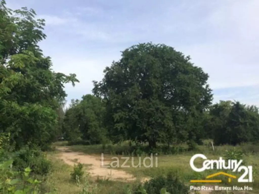 BEACHFRONT LAND IN CHA-AM
