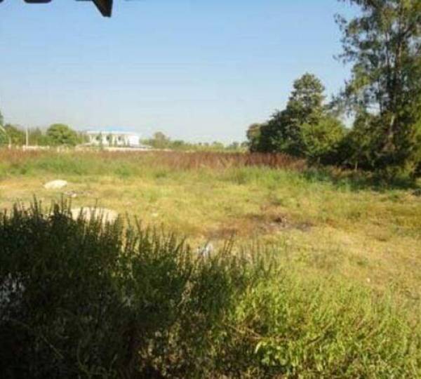 7 Rai Of Land For Sale 7 Rai Of Land For Sale