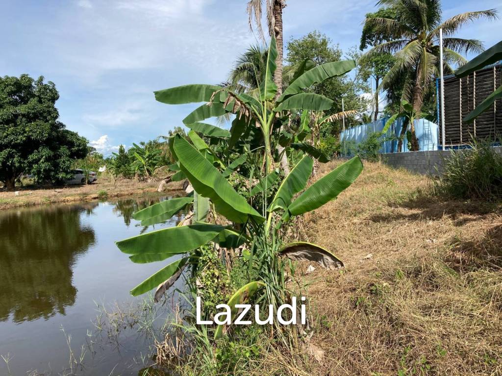 Land for sale in Huay Yai