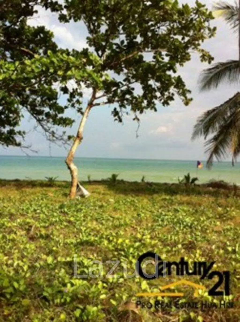 Stunning Absolute Beachfront Land