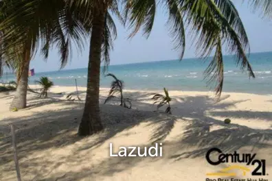 Stunning Absolute Beachfront Land
