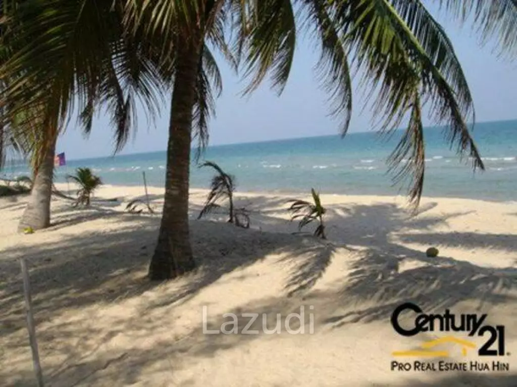 Stunning Absolute Beachfront Land