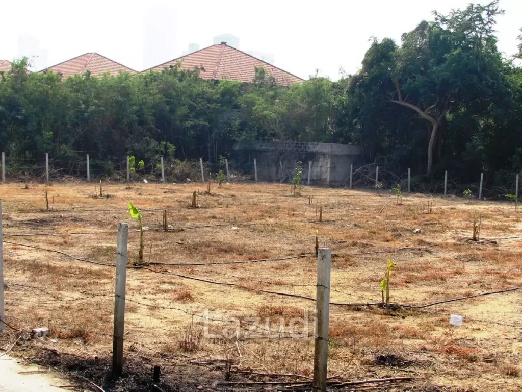 Land For Sale In Jomtien Pattaya