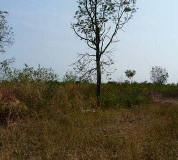 12 Rai Of Prime Building Land 12 Rai Of Prime Building Land