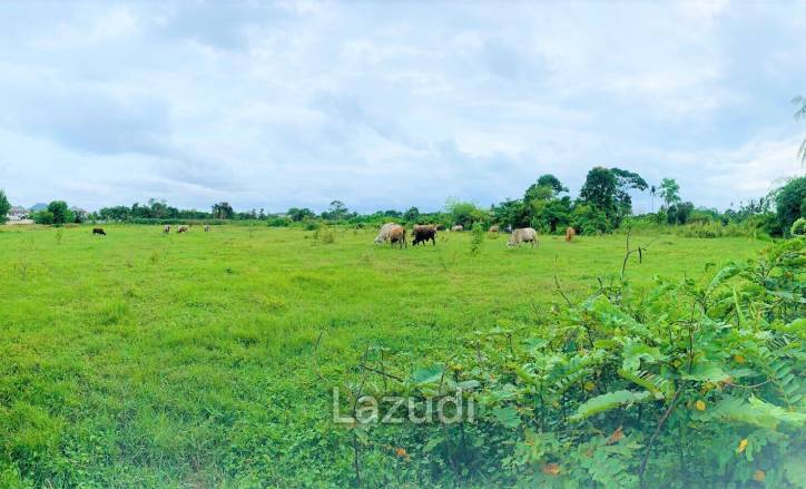 Land in Huay Yai Pattaya 11 Rai