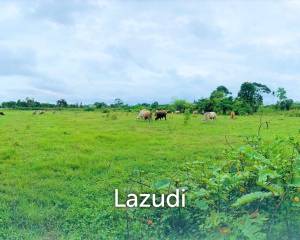 Land in Huay Yai Pattaya 11 Rai
