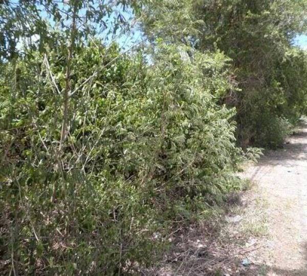 16 Rai of Land for Sale 16 Rai of Land for Sale