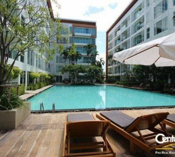 1 Bed Apartment for Rent/Sale 1 Bed Apartment for Rent/Sale