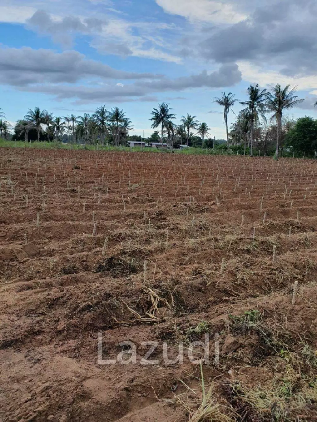 Land For Sale in Mabprachan