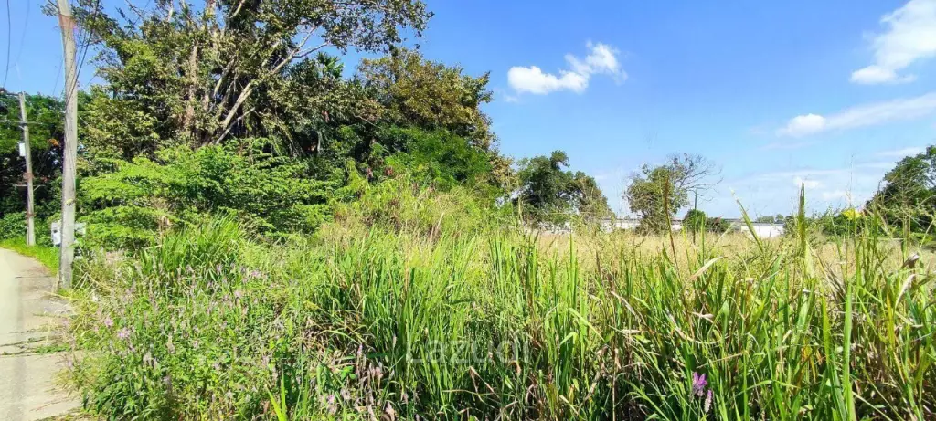 Huay Yai Pattaya Land for Sale