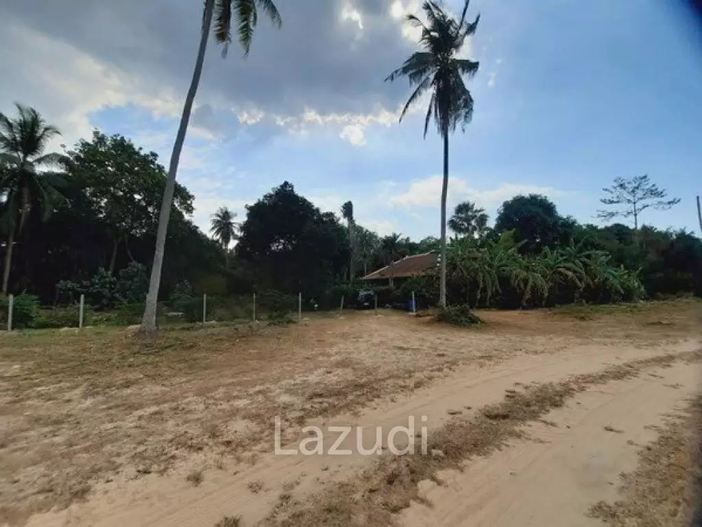 Great Land for Sale in Ban Amphur
