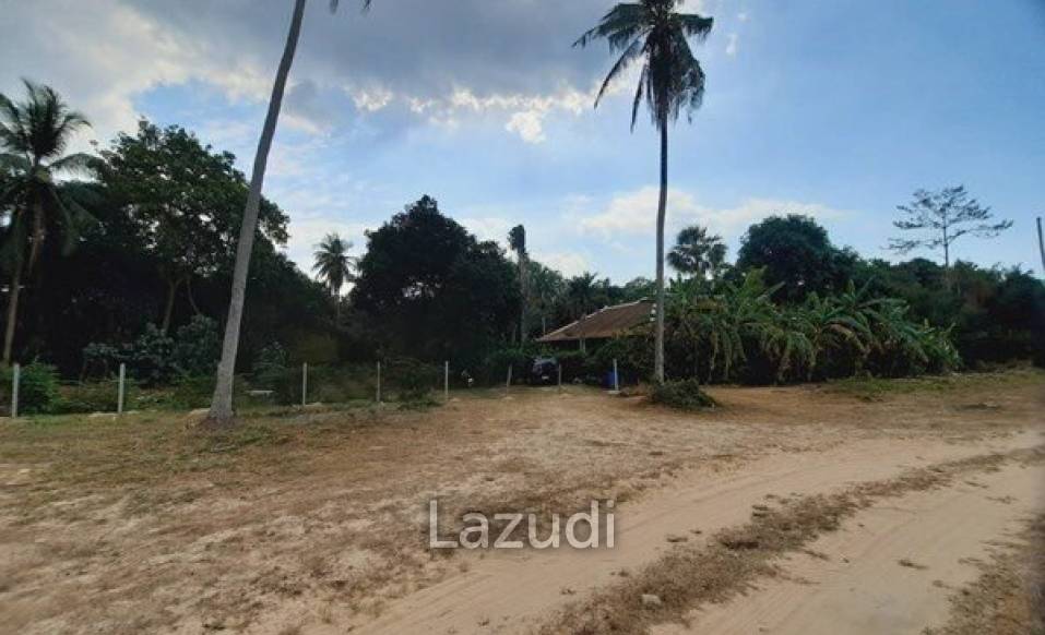Great Land for Sale in Ban Amphur