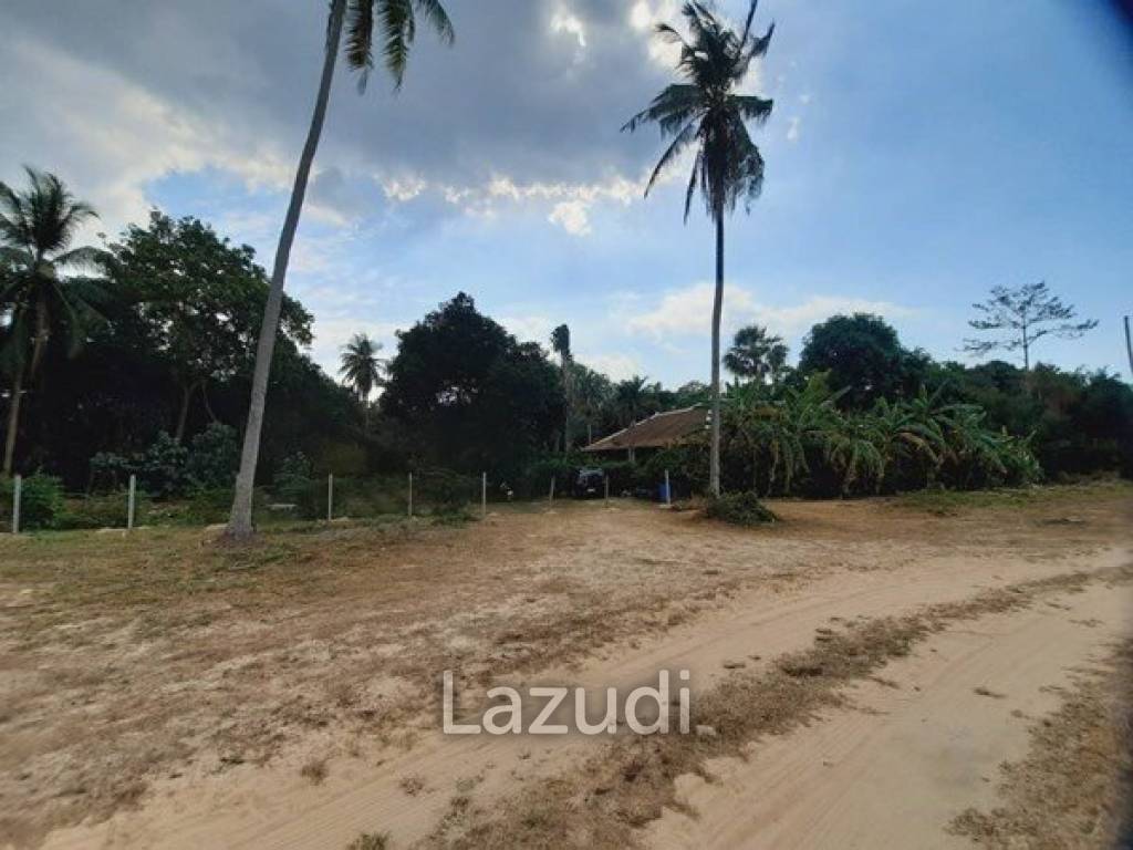 Great Land for Sale in Ban Amphur