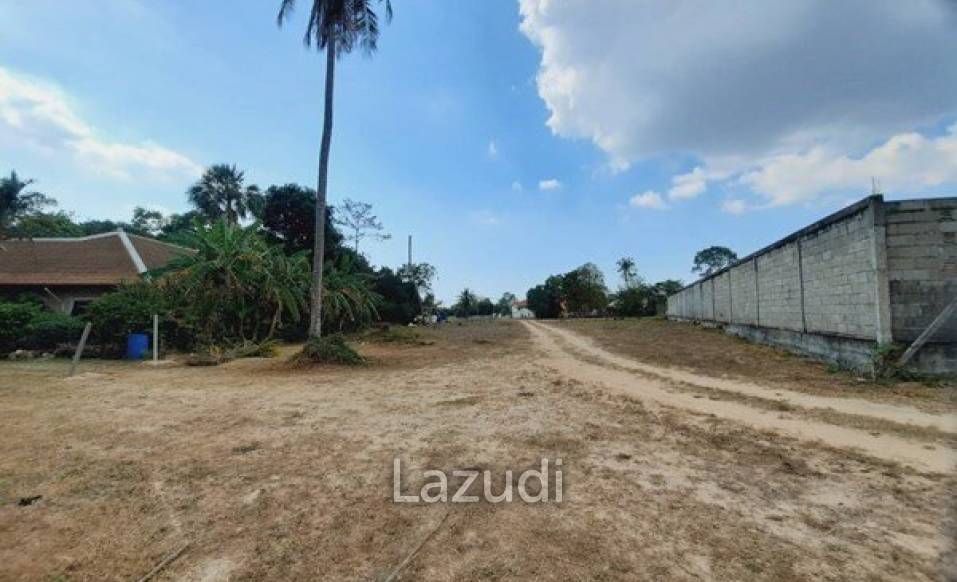Great Land for Sale in Ban Amphur