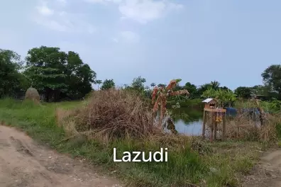 ขายที่ดิน พร้อมผู้เช่า หนองปลาไหล