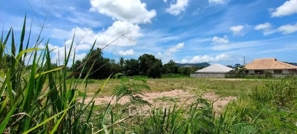 Beautiful Land for Sale in Bang Saray