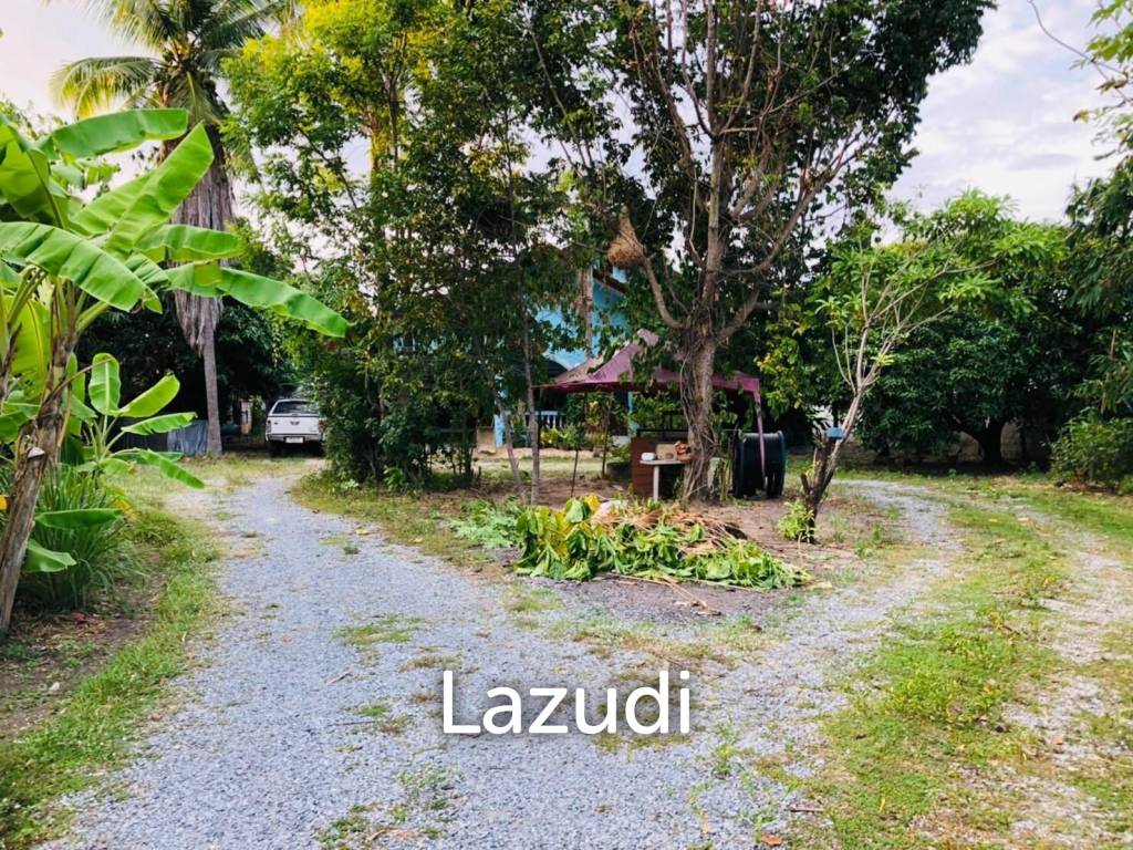 Land with House in Nong Mai Kaen for Sale