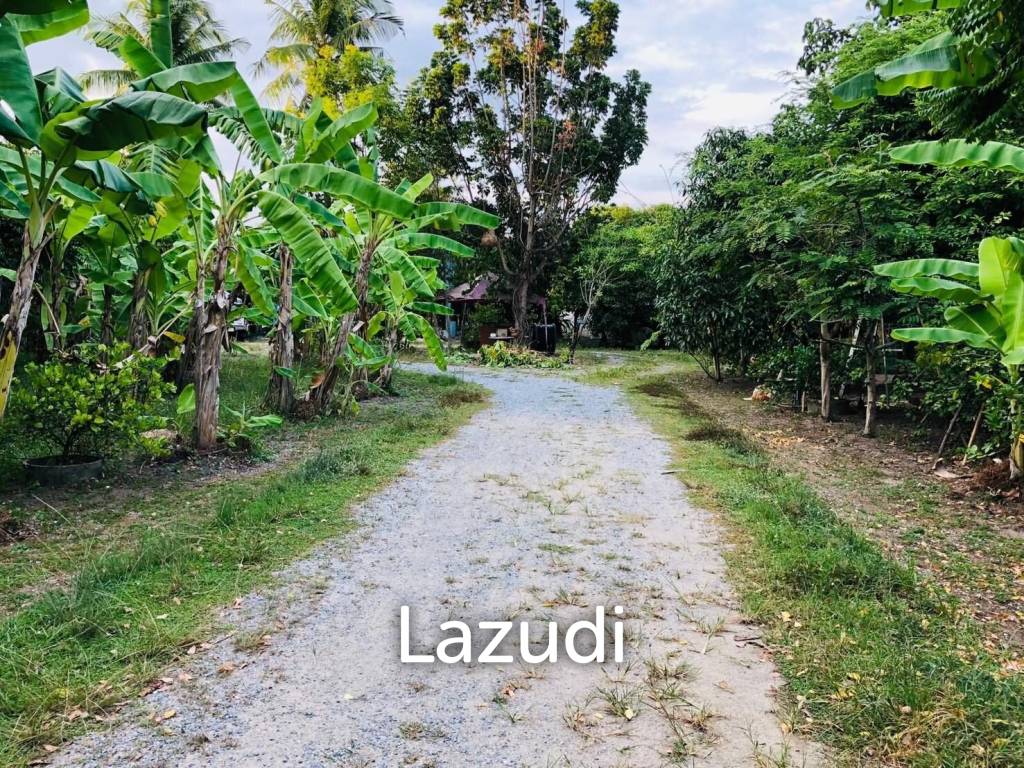 Land with House in Nong Mai Kaen for Sale