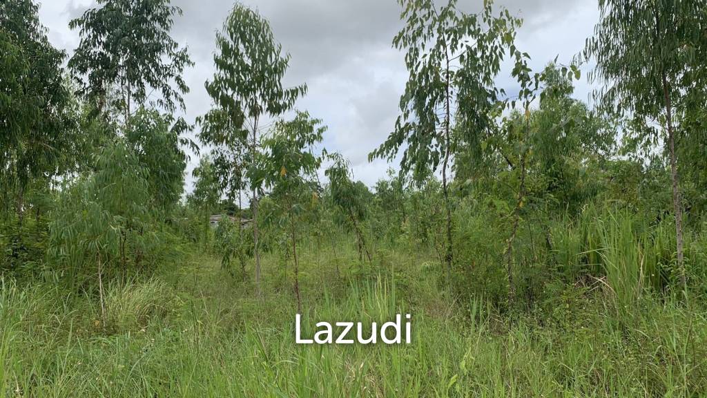 Land Plot on Sukhumvit Rd. for Sale