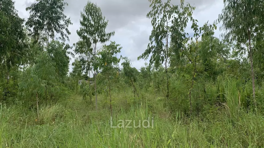 Land Plot on Sukhumvit Rd. for Sale