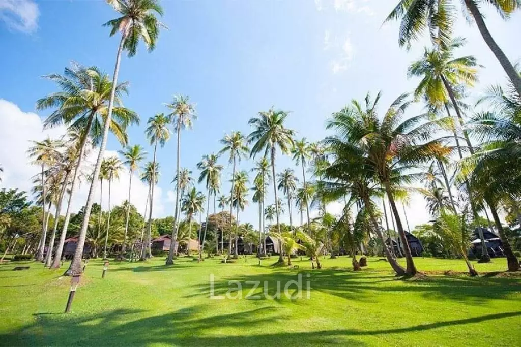 Beachfront Resort for Sale in Koh Kood