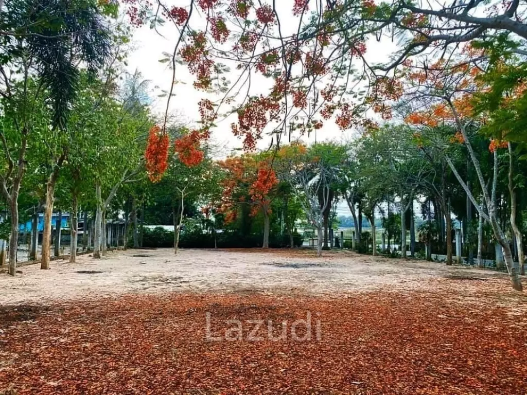 Beautiful Land for Sale at Mabprachan
