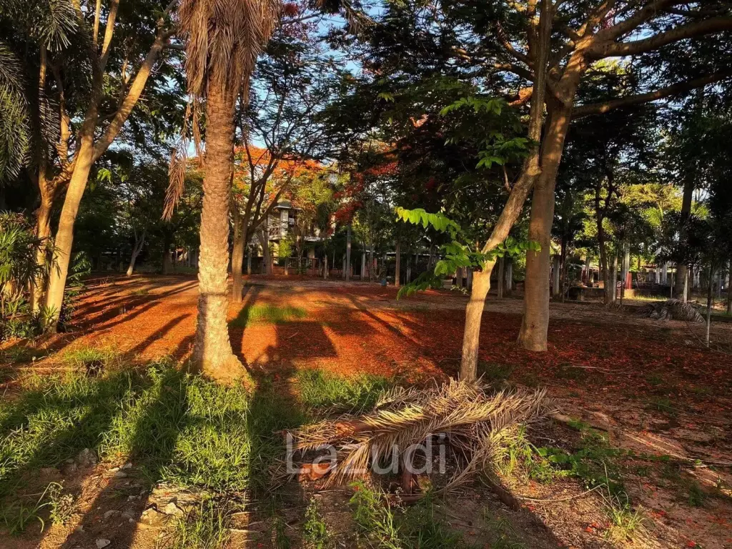 Beautiful Land for Sale at Mabprachan